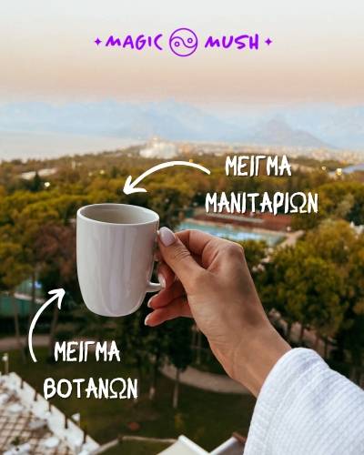 RISE & VIBE: Φυσική Ενέργεια, Συγκέντρωση, Διαύγεια & Ευεξία, Αντοχή & Δύναμη Κάθε Μέρα RISE & VIBE: Φυσική Ενέργεια, Συγκέντρωση, Διαύγεια & Ευεξία, Αντοχή & Δύναμη Κάθε Μέρα